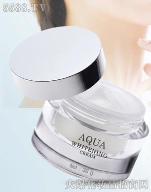 PDL(̩��)���yƷ���޹�˾��̩���a(b��)ˮ����˪AQUA WHITENING CREAM