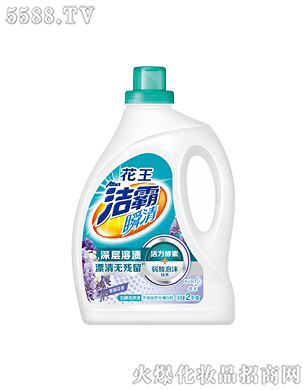 �Ϻ��������޹�˾������˲��o��ϴ��Һ�����ٻ��㣩2kg