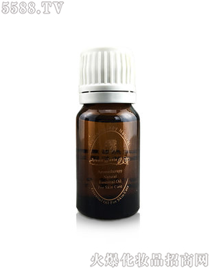 �麣������I(y��)�����Z������Ⱦ���