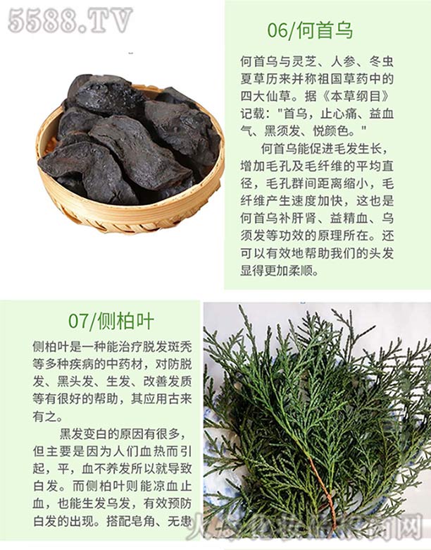 Ȫ���ֿ��t(y��)ˎ���޹�˾���l(f��)ѾѾ�ݱ�ֲ�����ϴ�l(f��)�飨���מ�����(c��)���~��