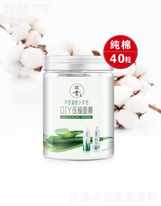 �������F�Ƽ��_�l(f��)����؟�ι�˾�����FDIY���s��Ĥ40��