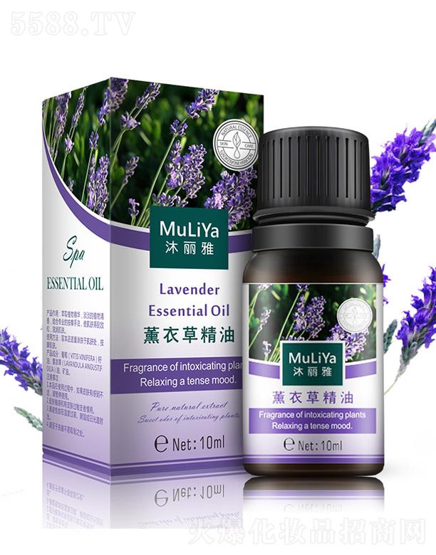 �V���а��ƅ^(q��)�ƿ����������S��������޹�²ݾ���