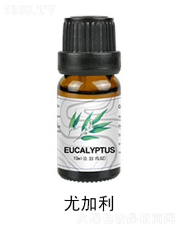 �����������yƷ���޹�˾���ȼ�����޹����