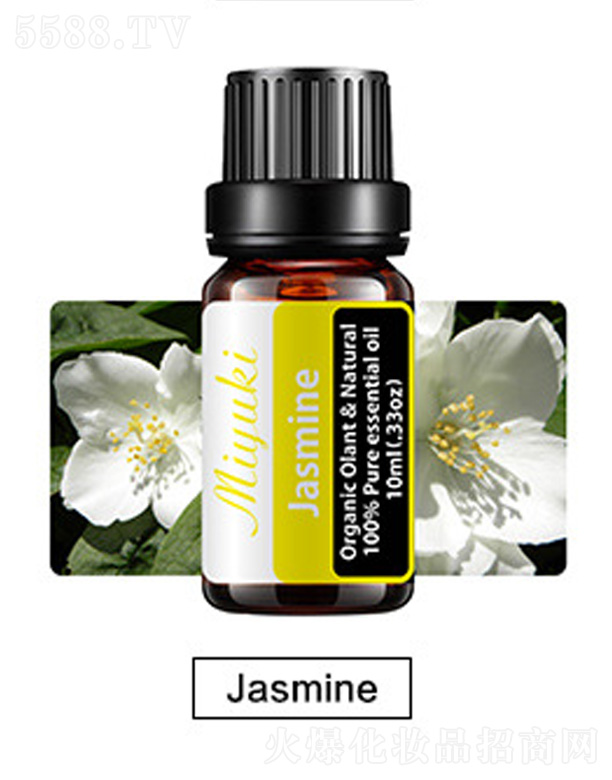 �V���׋I����Ƽ����޹�˾���o�w��޹��Ħ��-Jasmine����