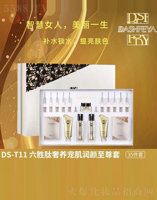 �V��Ʒ������Ƽ��l(f��)չ���޹�˾����ɯDS-T11���������B(y��ng)���������