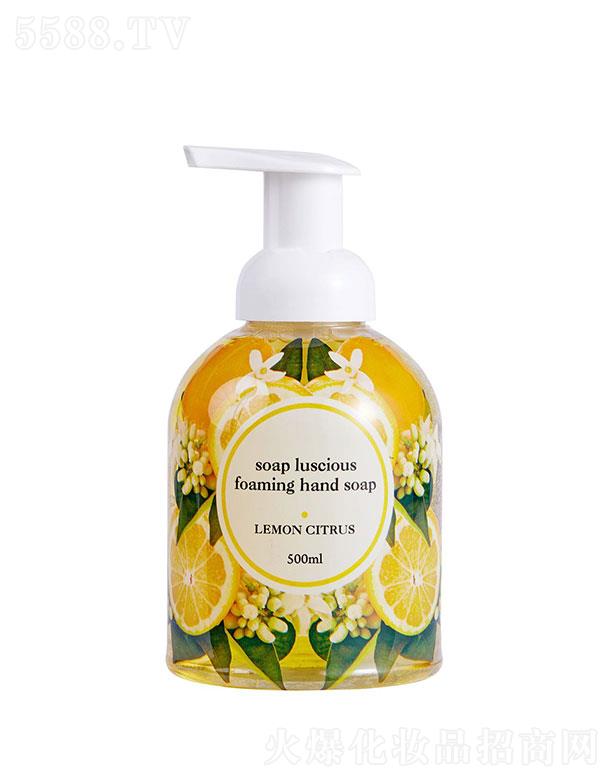 ���ŵ�(�B�T)���＼�g(sh��)���޹�˾�����ŵ�(    ���ŵ�ϴ��Һ   �坍�o(h��)�w