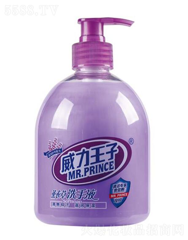 �V������ջ��Ƽ����޹�˾����������޹�²ݝ�(r��n)�wϴ��Һ 500��