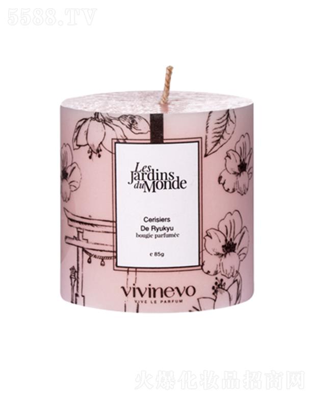 �V������ӯ���yƷ���޹�˾��vivinevo����ѻ��A��Ϟ�T