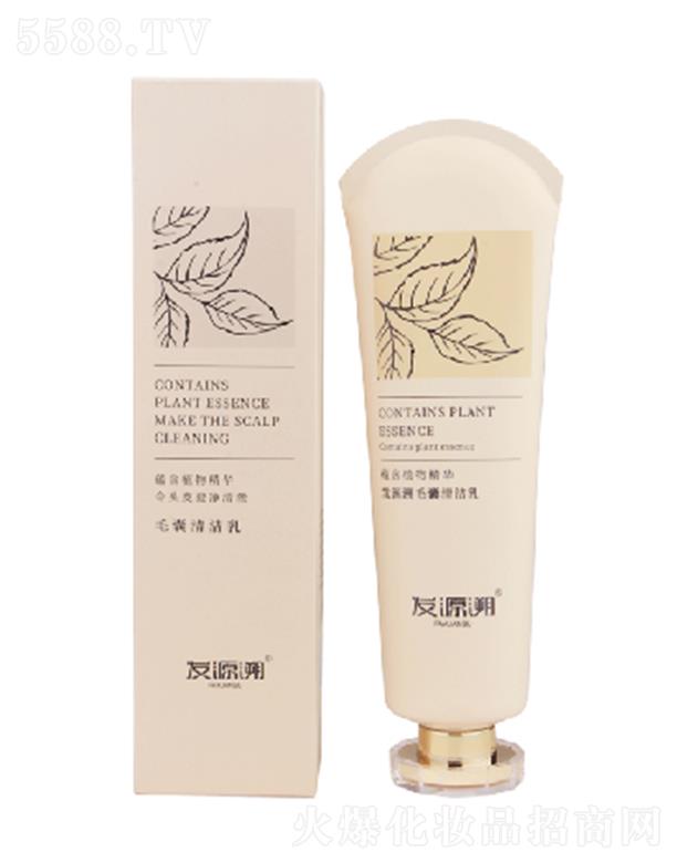 ����Դ������Ƽ����޹�˾���l(f��)Դ��ë���坍��