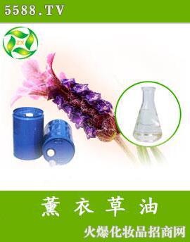 ����Ѭ�²��;���