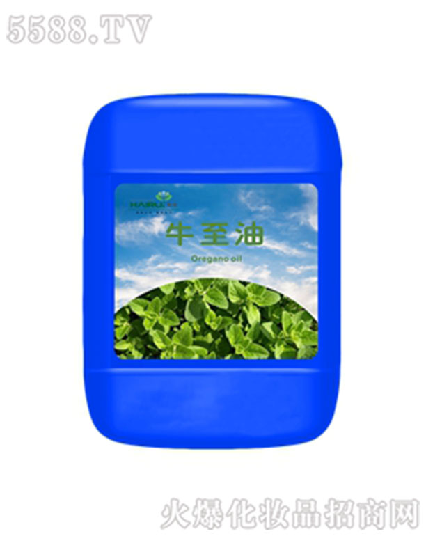 ����ţ������