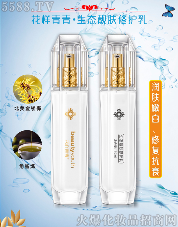 �����������B(t��i)�n�w���o��