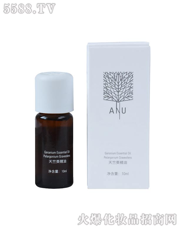 ���ÿ�����