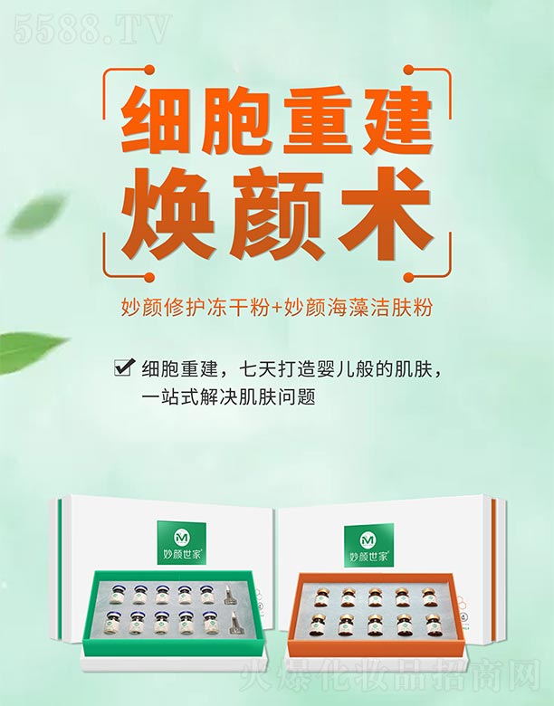 �������������o(h��)���ɷ�+����坍�w��