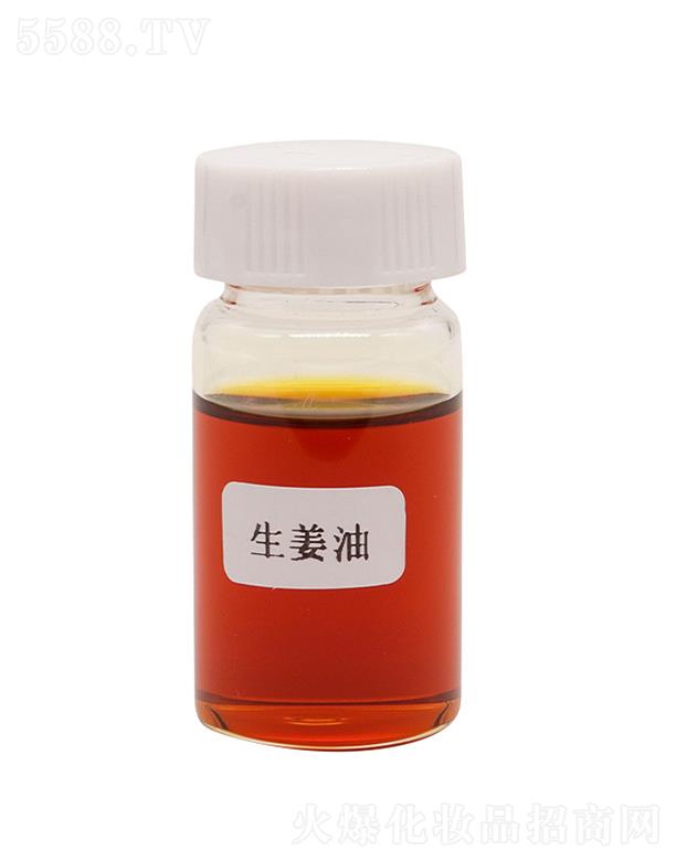 ��˹�������