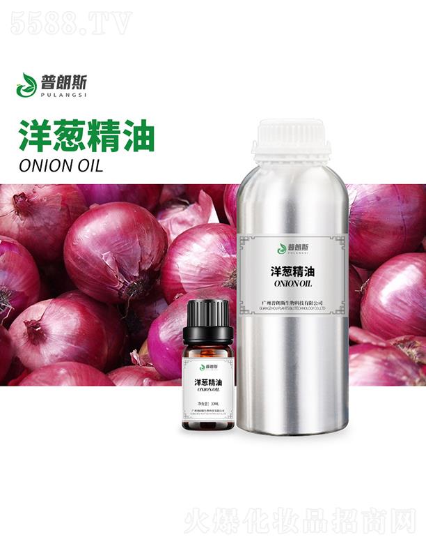 ����˹���[����