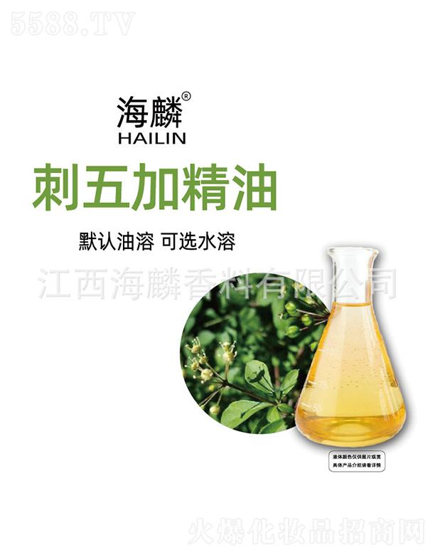 �������Ӿ���