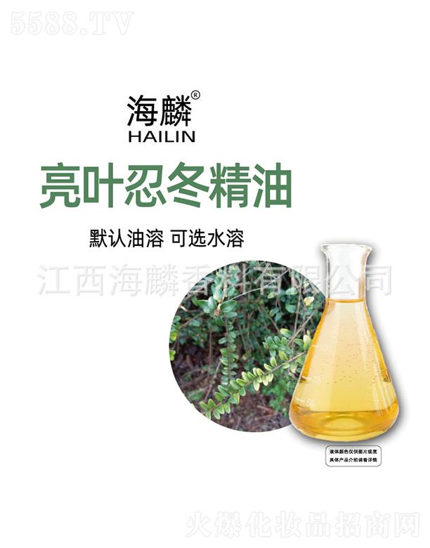 �������~�̶�����