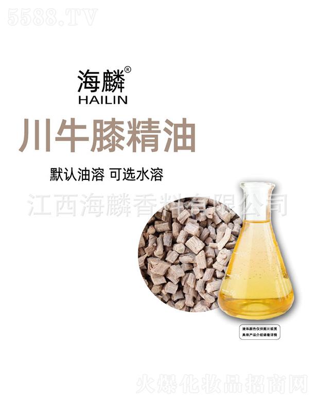 ���봨ţϥ����