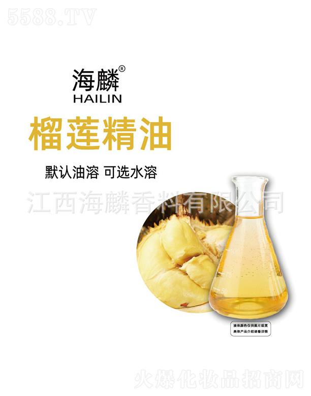 ������ɏ����