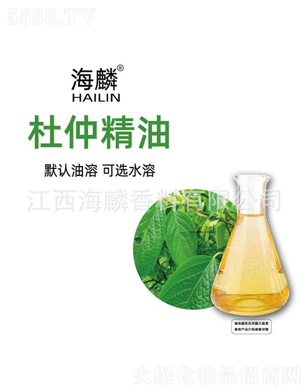 ������پ���