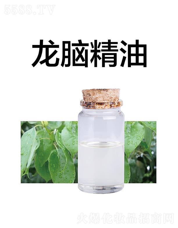 �������X����