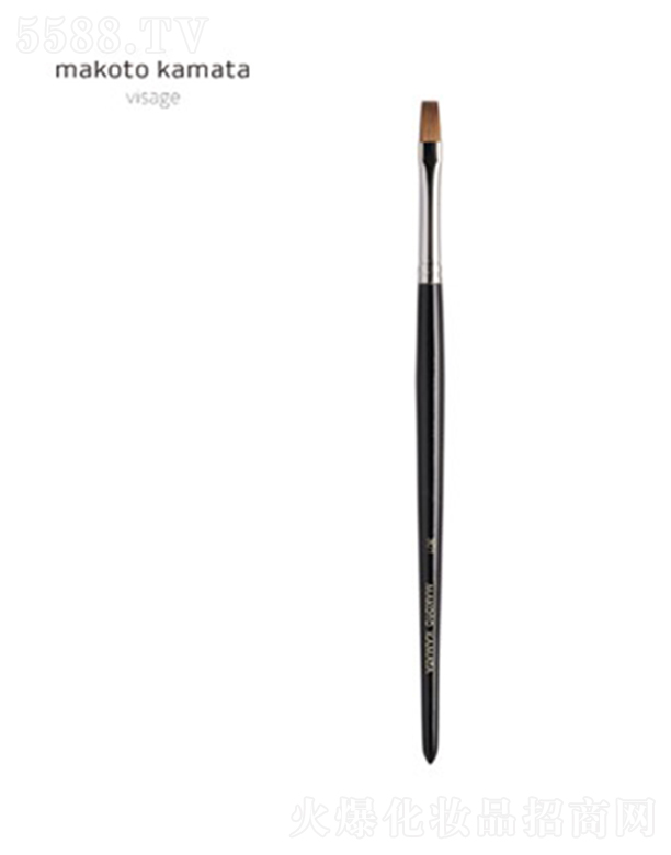 ����\��������ˢ �P301