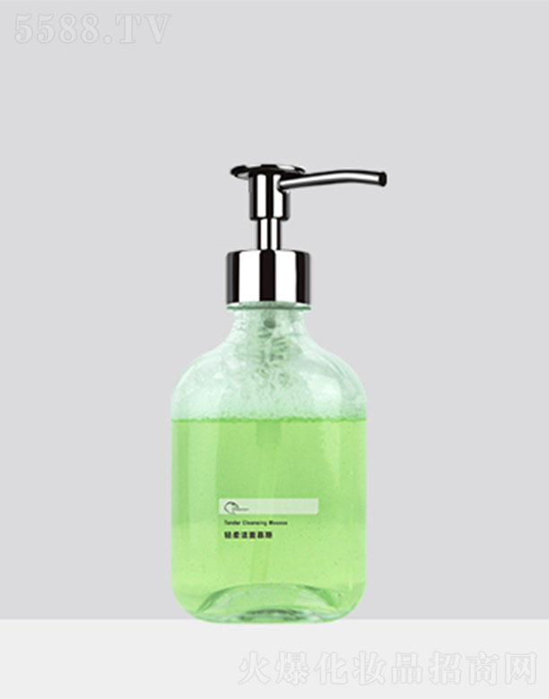 �p�ᝍ��Ľ˹