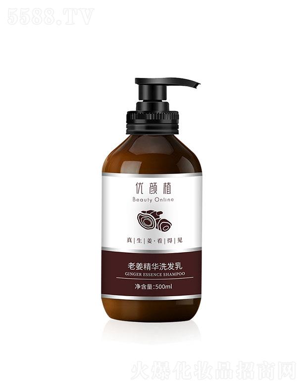 �V�ݳ���   ��(y��u)�ֲ�Ͻ����Aϴ�l(f��)¶   ֲ�����B(y��ng)ȥм