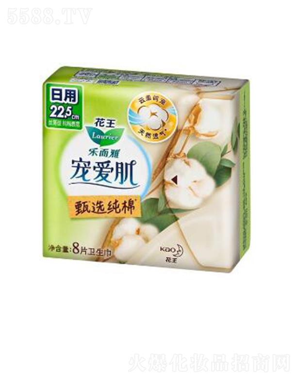 �����Ō��ۼ����x���޽z����22.5cm��8p��ס������ܛ