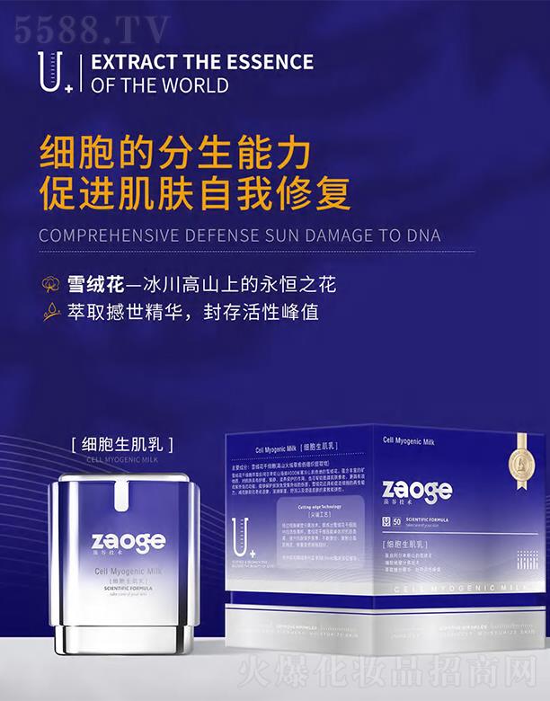 ��ȼ��������� �̝�����