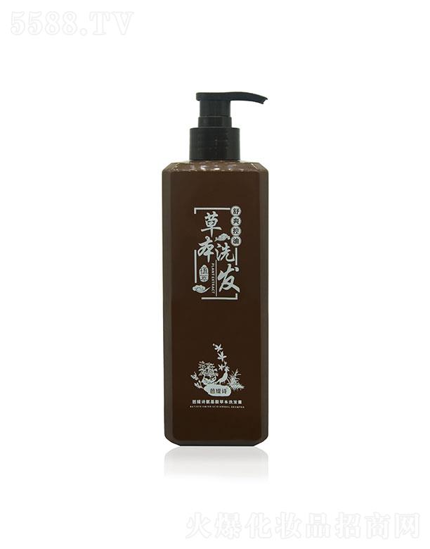 �ž�Ԋ(sh��)�ݱ�ϴ�l(f��)ˮ500ml