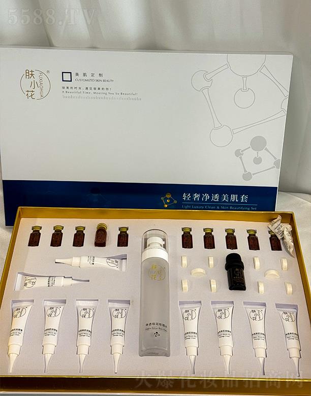 �wС���p�݃�͸������(������)