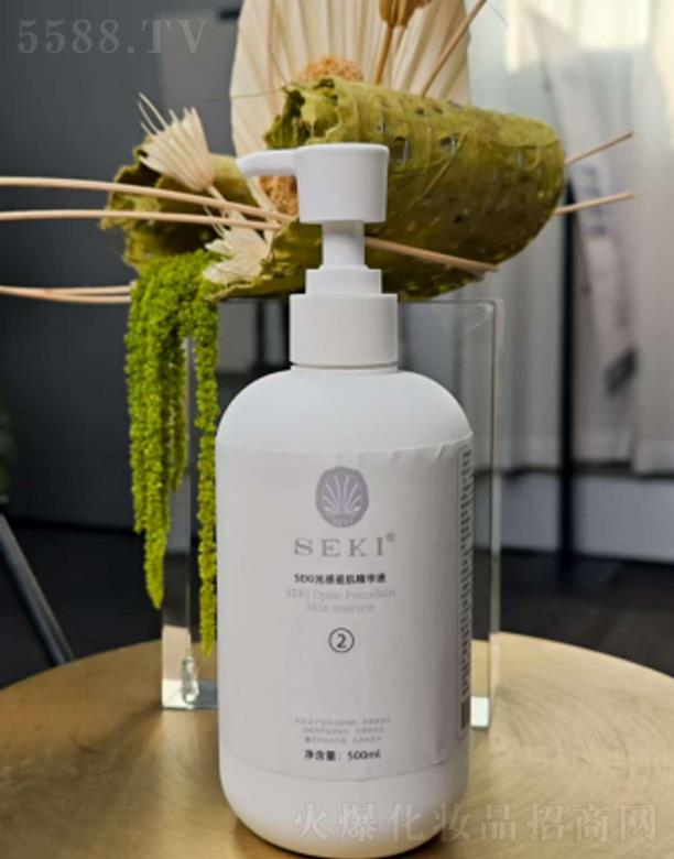 SEKI�z�����дɼ����A