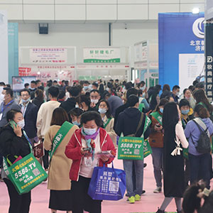 2020���ϸ߶����I(y��)���[���҂������̈F��c�͑�һ·���S��