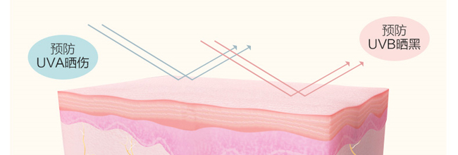 ���{�����x����