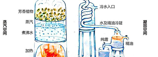 �؊}�ز��(sh��)��¶