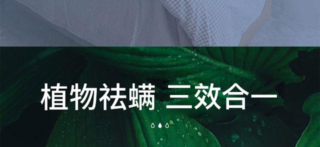 ������ζ���F