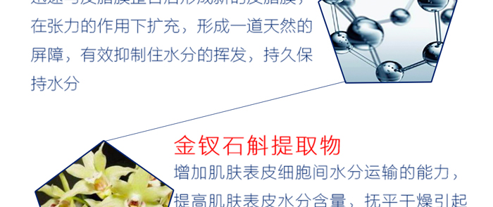 �����t(y��)��ϵ��